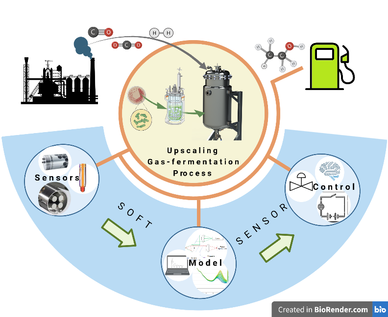 Upscaling Gas-fermentation Process