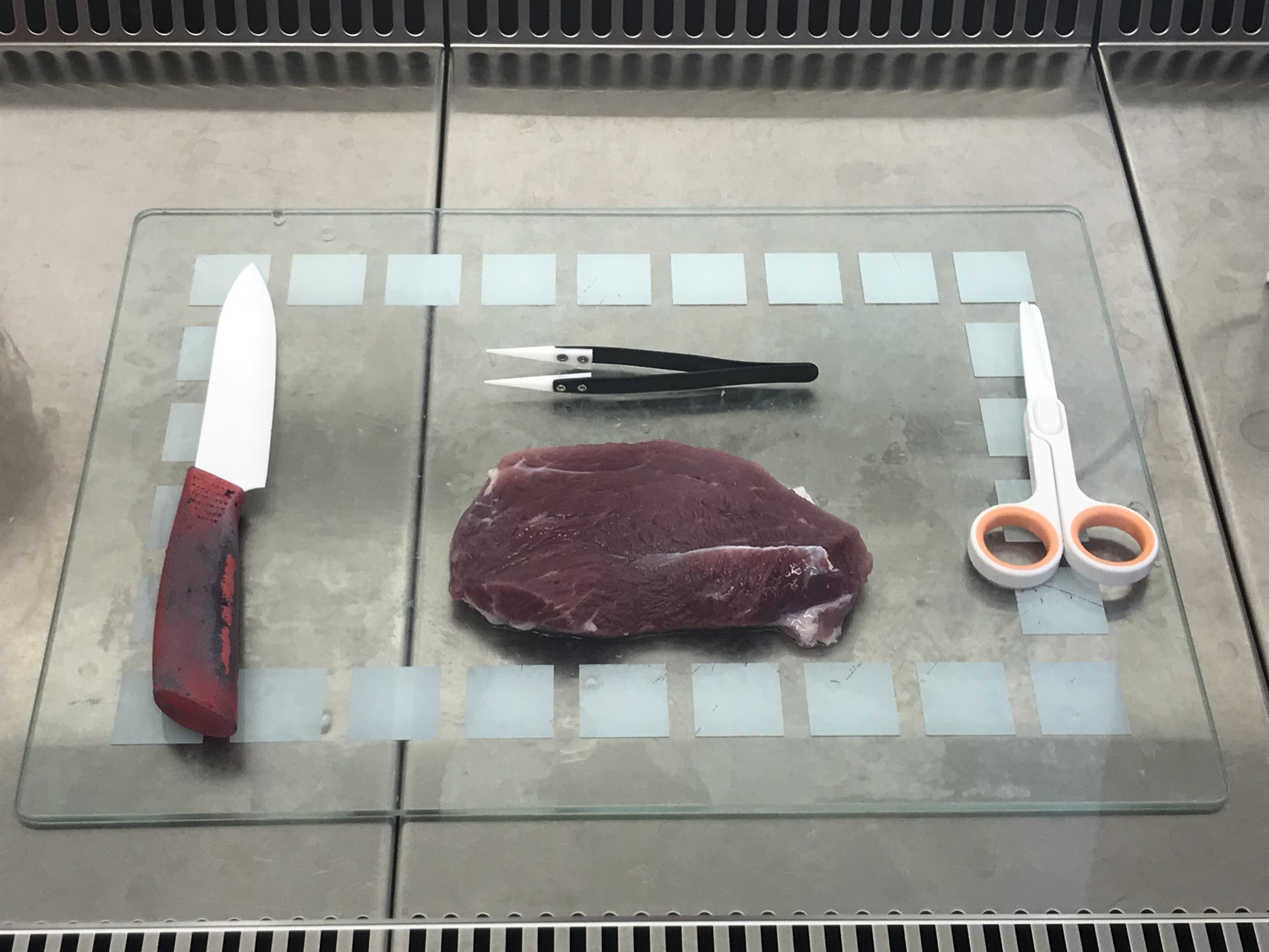Grundlage für die Fleischzüchtung