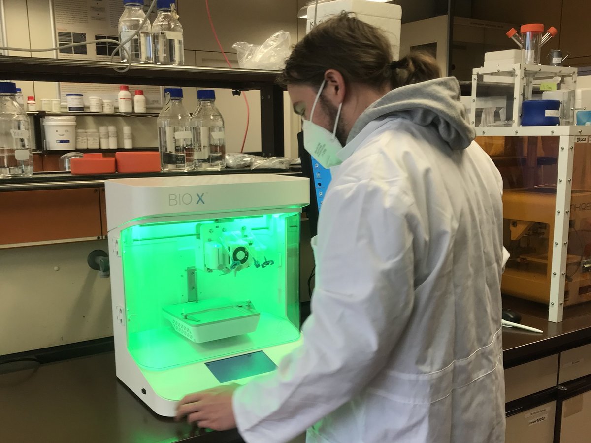 Kultiviertes Fleisch im 3D-Biodrucker