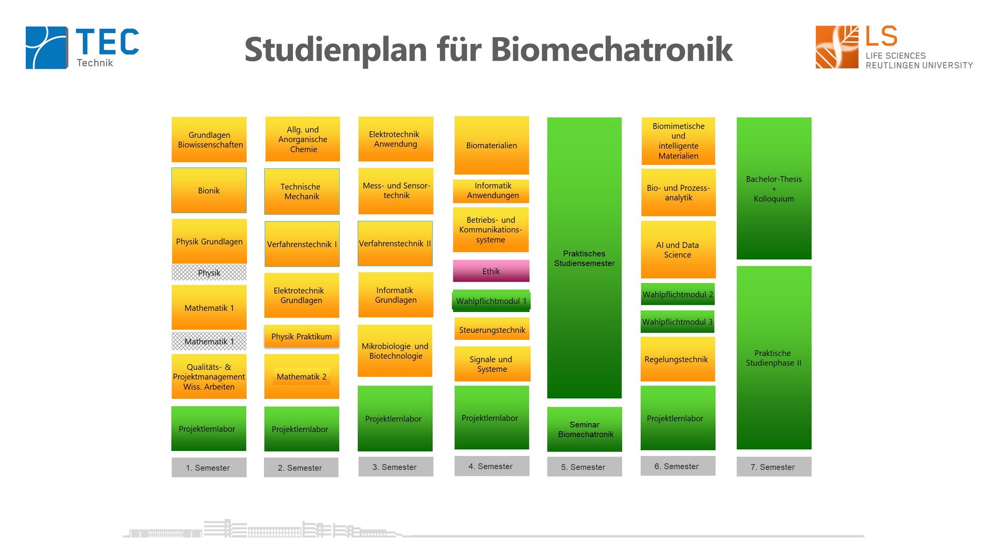 Studienplan Biomechatronik