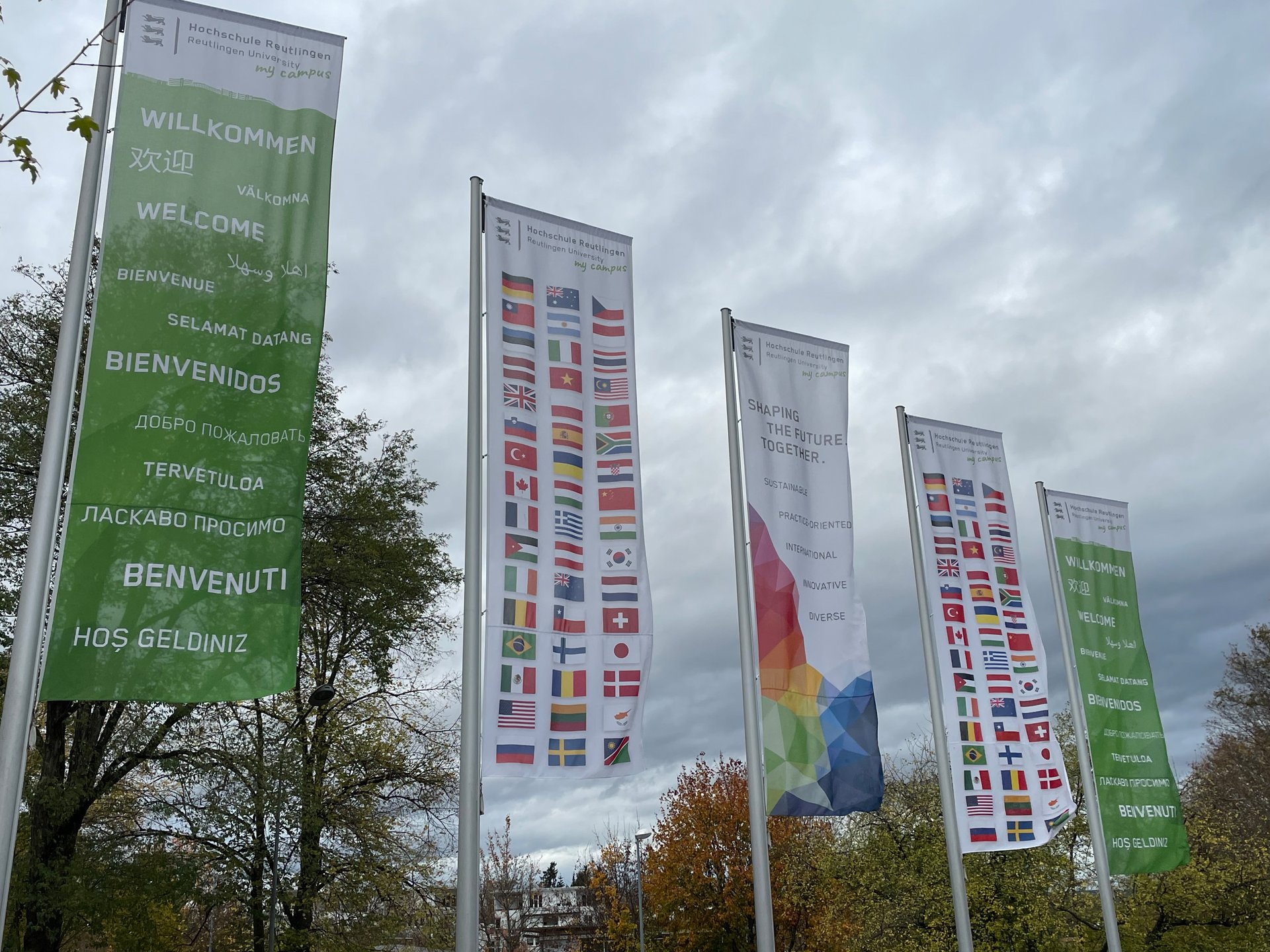 Flags on the campus