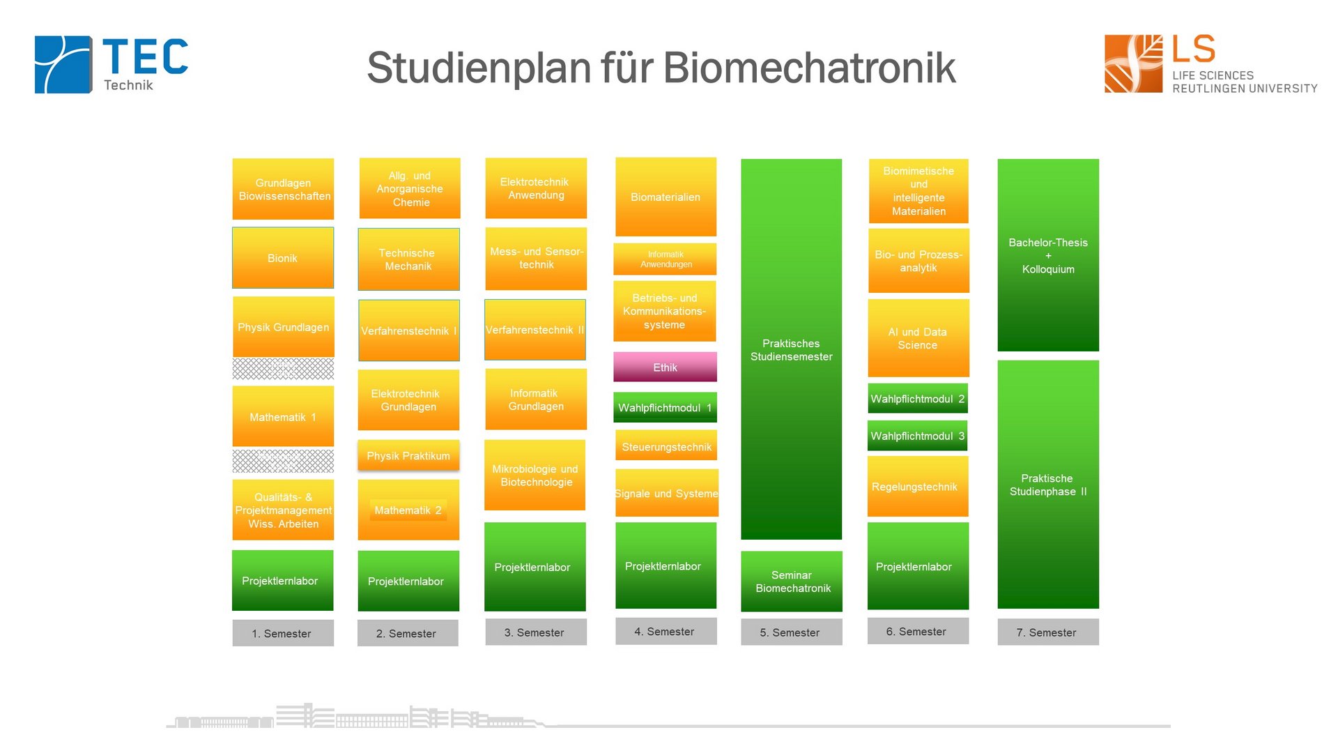 Curriculum