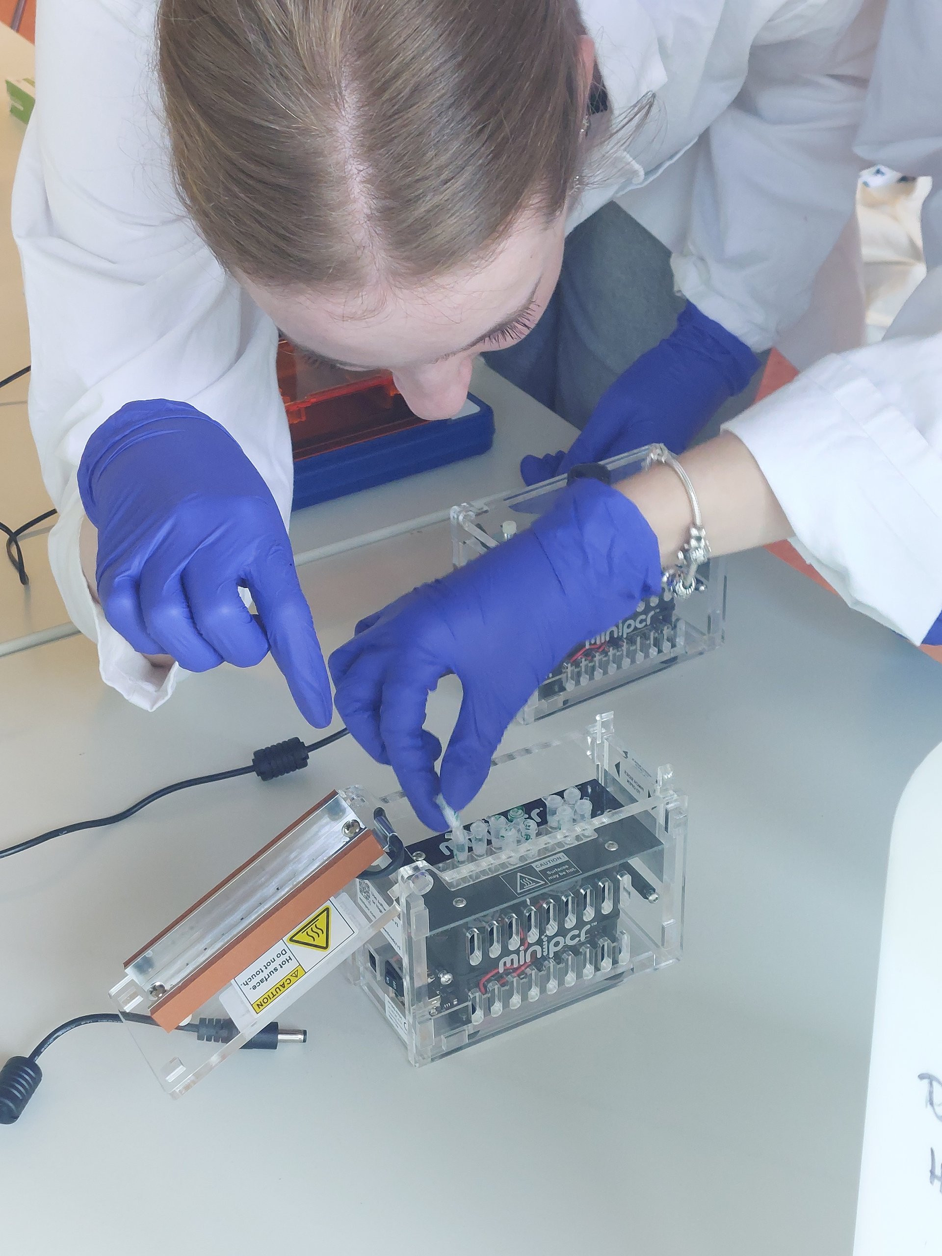 Schülerin am MiniPCR